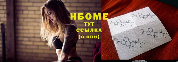 гидра Новозыбков