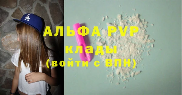 гидра Новозыбков
