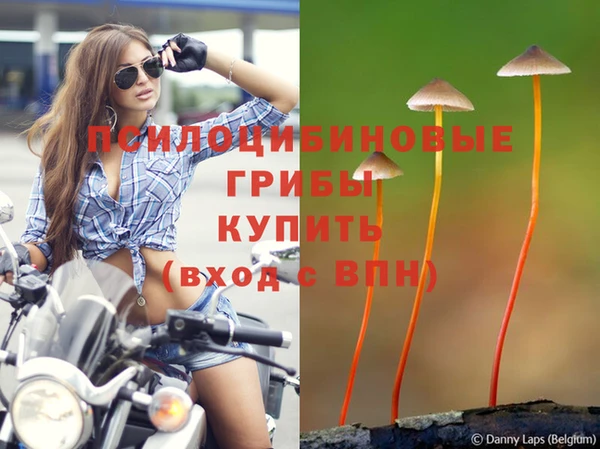 скорость Новодвинск