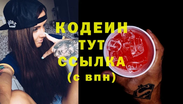 гидра Новозыбков