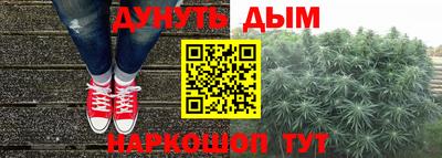 стафф Новозыбков