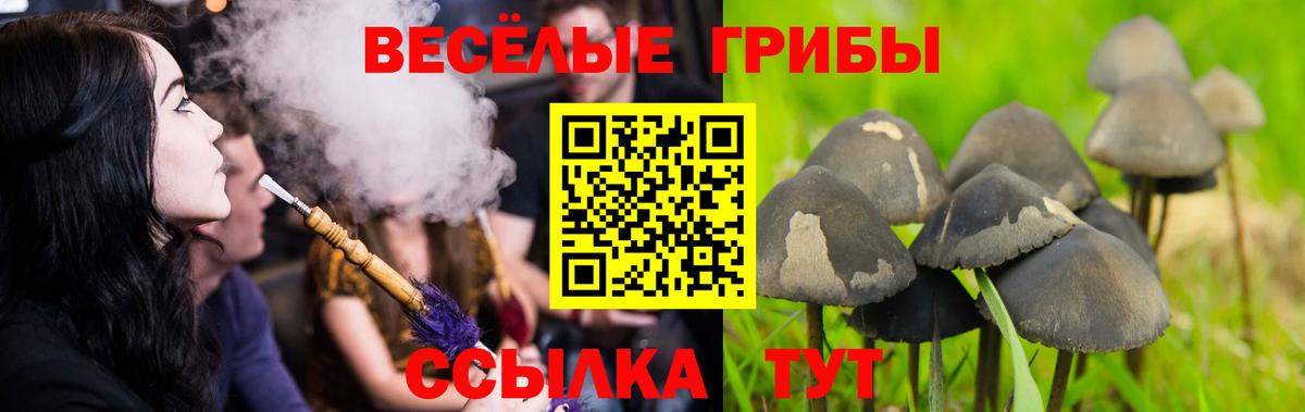 Псилоцибиновые грибы Magic Shrooms Черкесск
