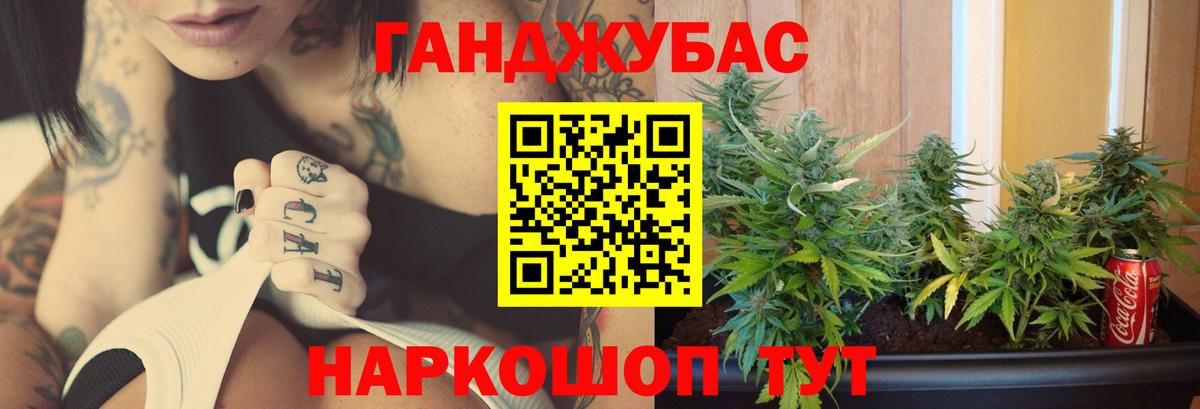 Канабис ГИДРОПОН  Конопля Ganja  Черкесск  Конопля ГИДРОПОН  Вход с VPN  Бошки марихуана OG Kush 